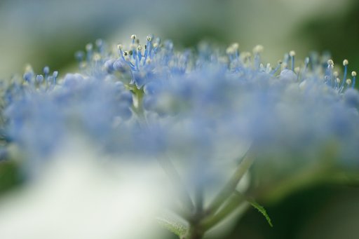 水平線