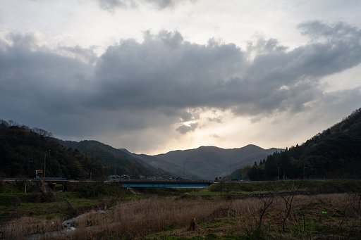 雨上がりの朝。