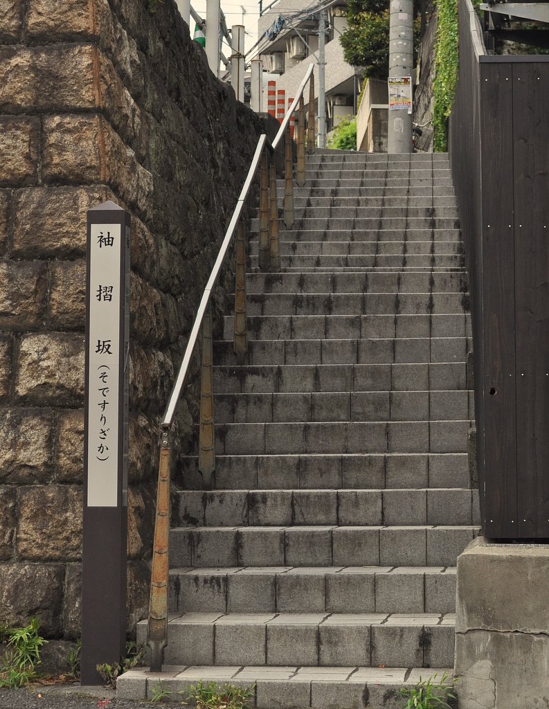 袖振坂