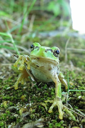 じゃあね！