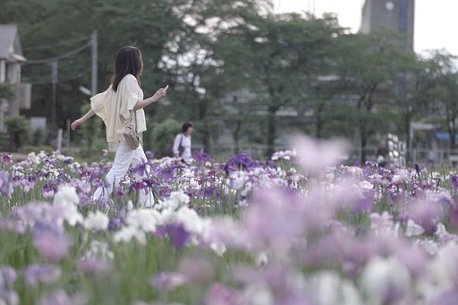 【日本】〜菖蒲まつりにて〜黒髪