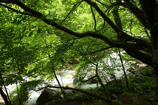 須砂渡の育み