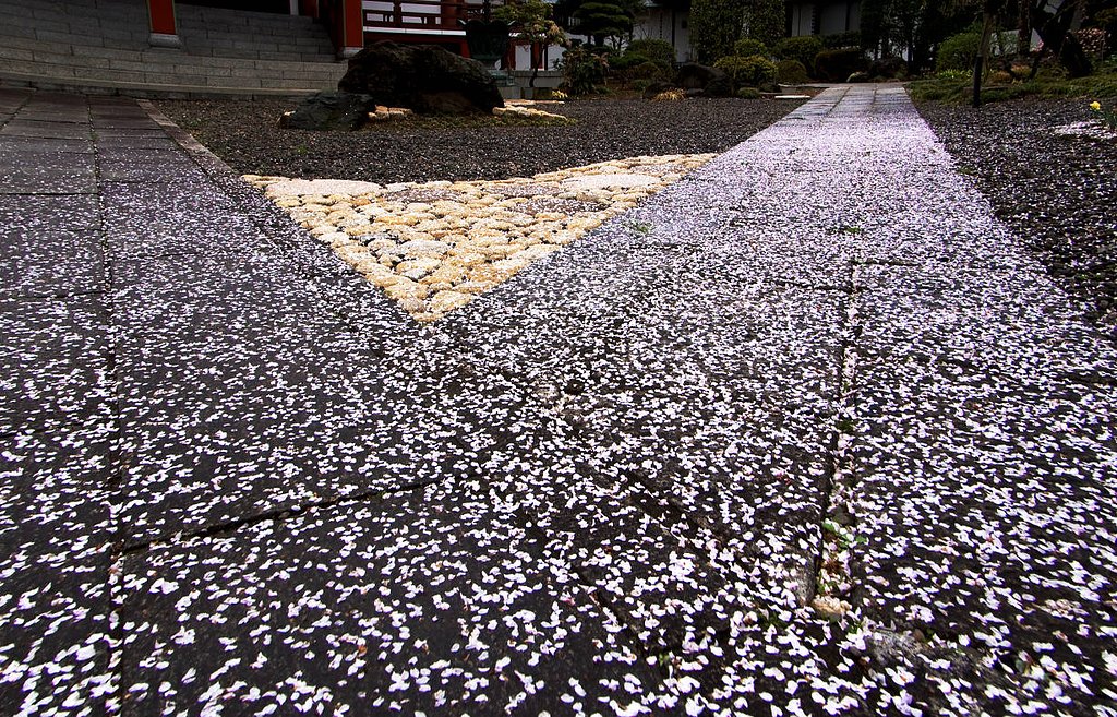 踏まずにおこう