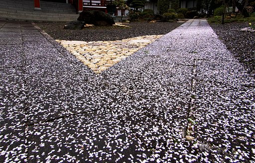 踏まずにおこう