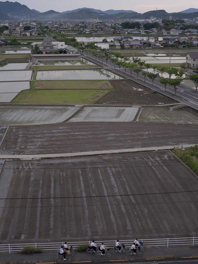 瀬戸の内海