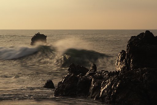 海に生きる