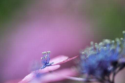 雨の止み間に