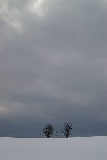 暗鬱な空に親子の木