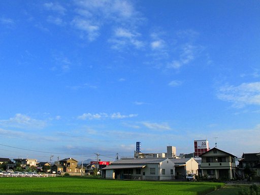 定点の朝空