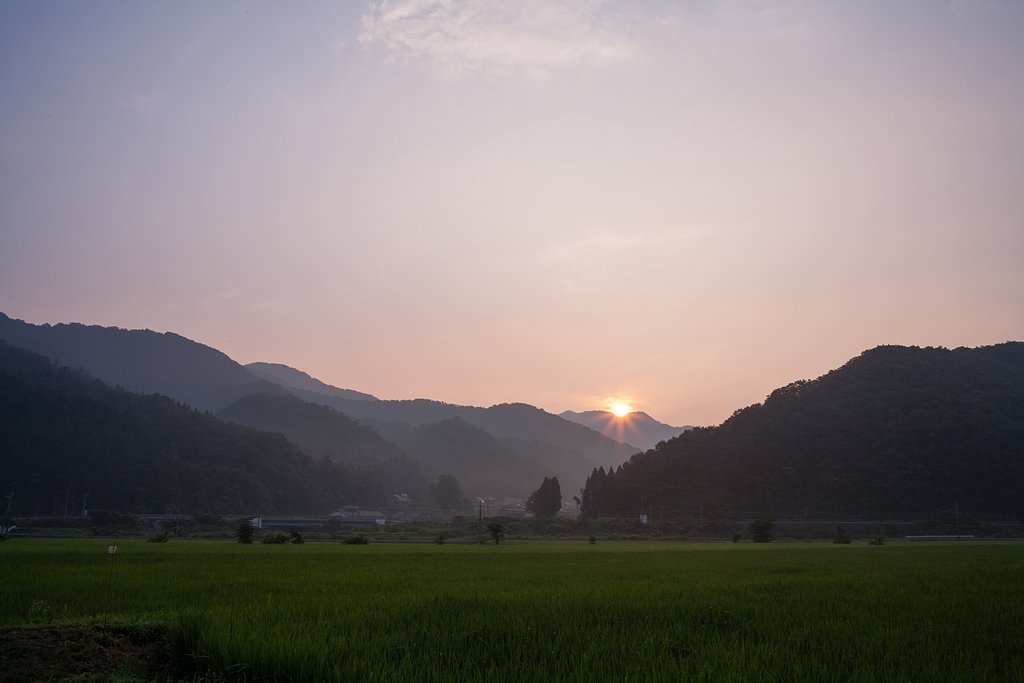 深い朝霧の朝日の出。