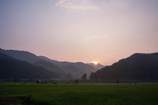 深い朝霧の朝日の出。