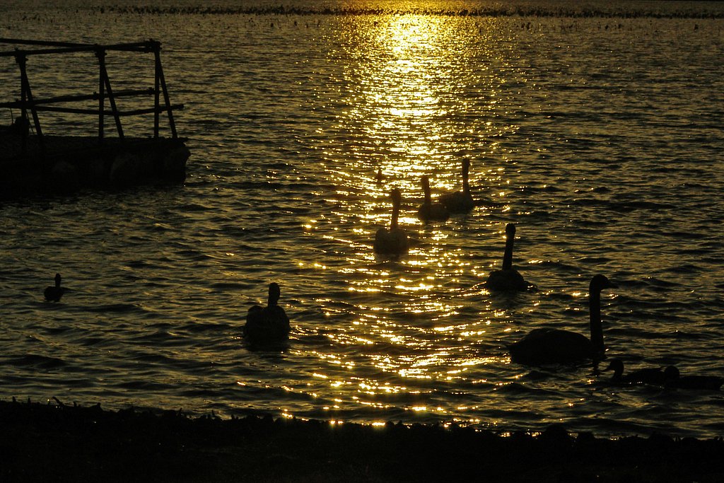 夕日を浴びて