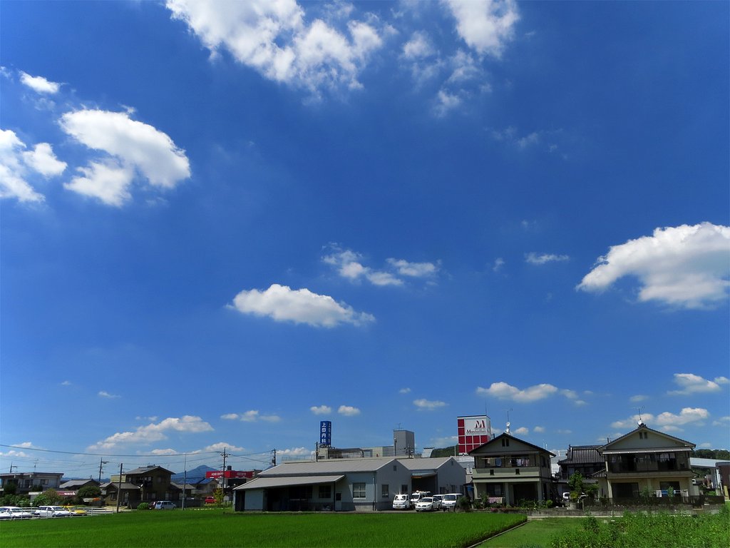 夏雲