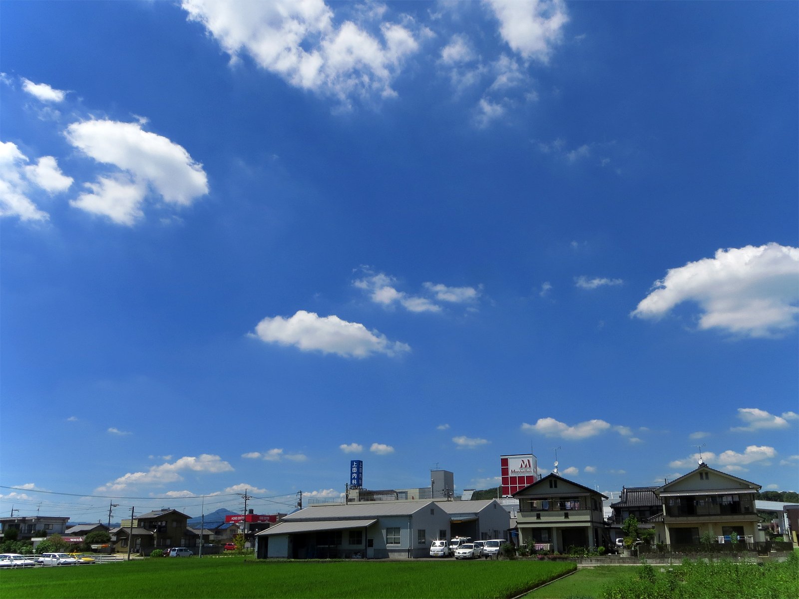 夏雲