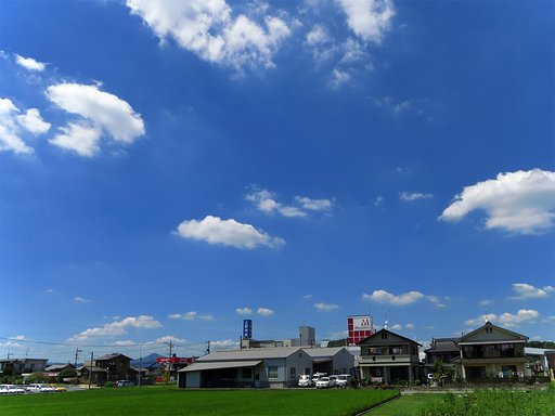 夏雲