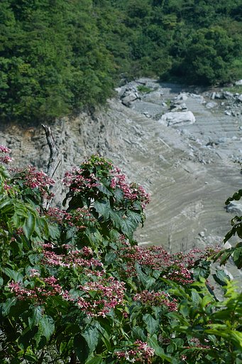四国山海