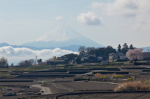 非日常的な日常