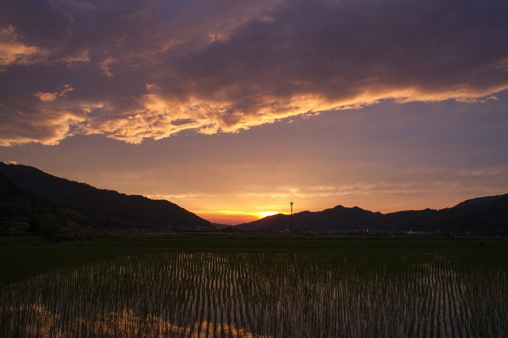 素晴らしい夕焼け!