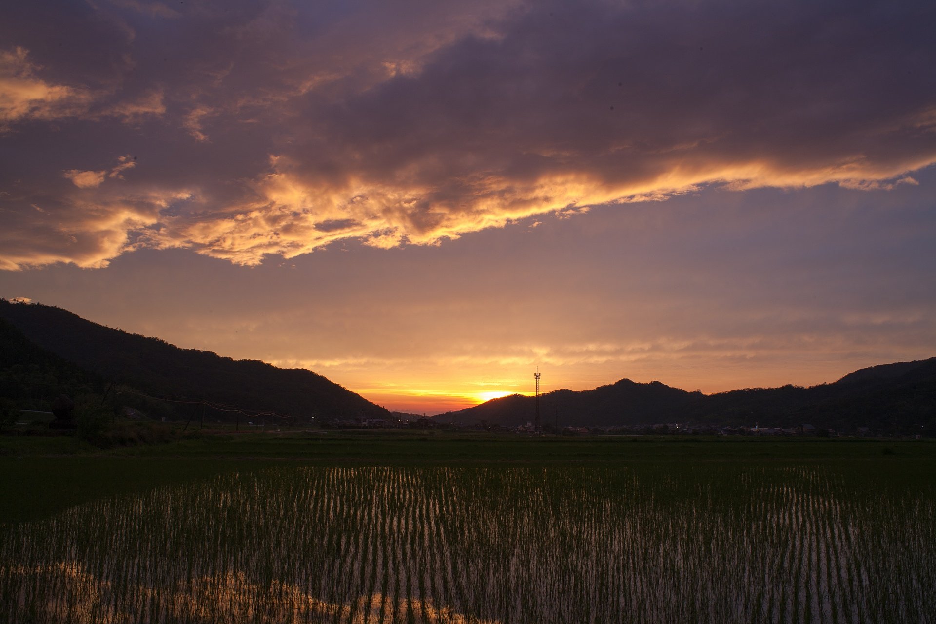 素晴らしい夕焼け!