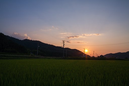 とても美しい夕焼けが・・。
