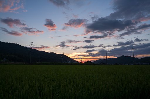日没後も素晴らしい夕焼けに。