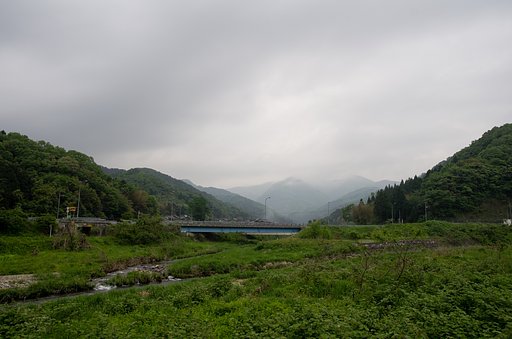 今朝はどんよりとした曇り空。