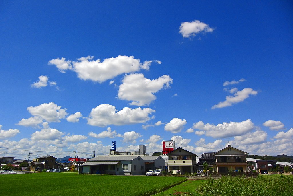 秋めく夏空