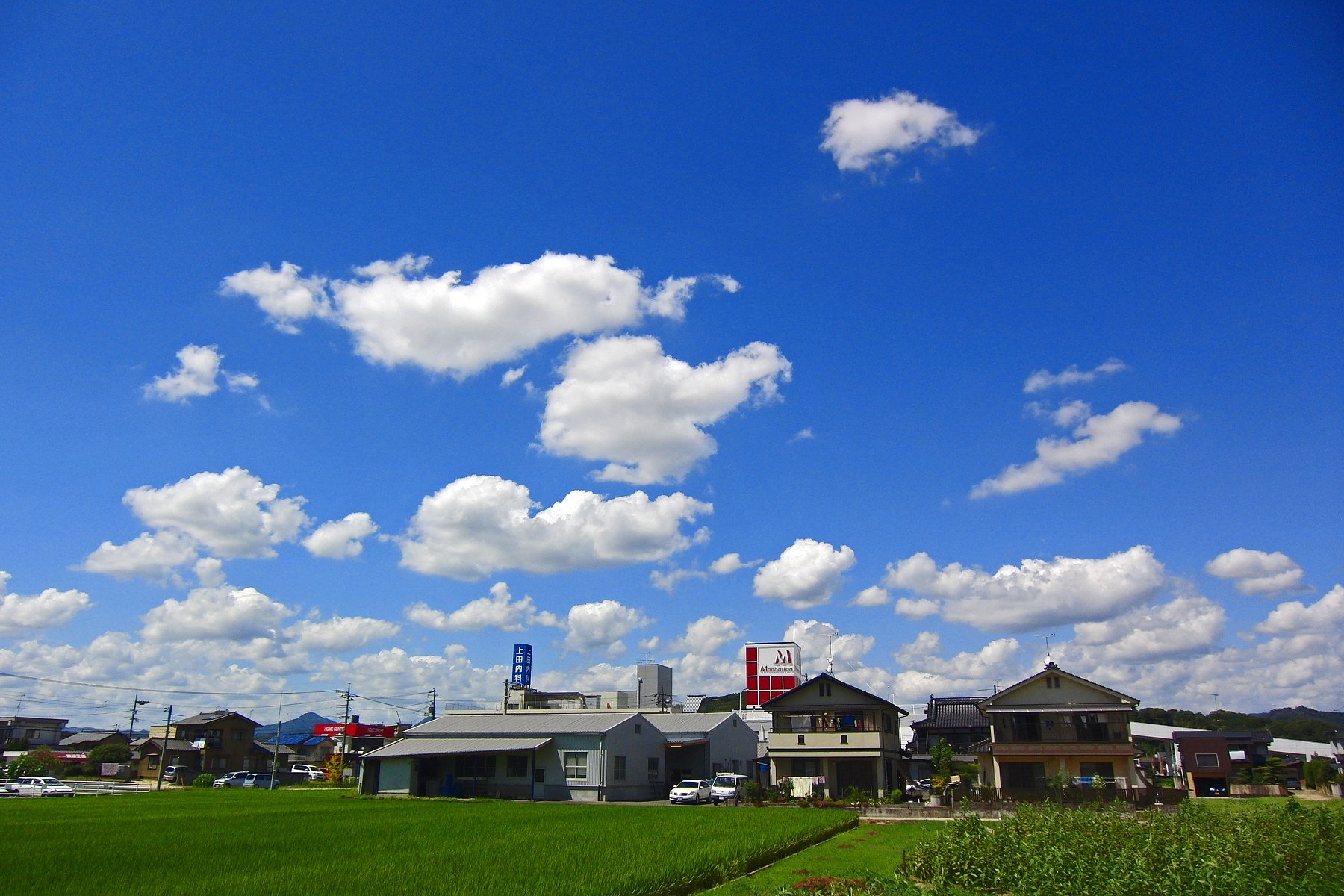 秋めく夏空