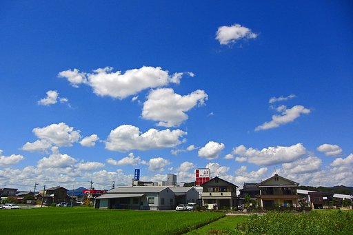 秋めく夏空
