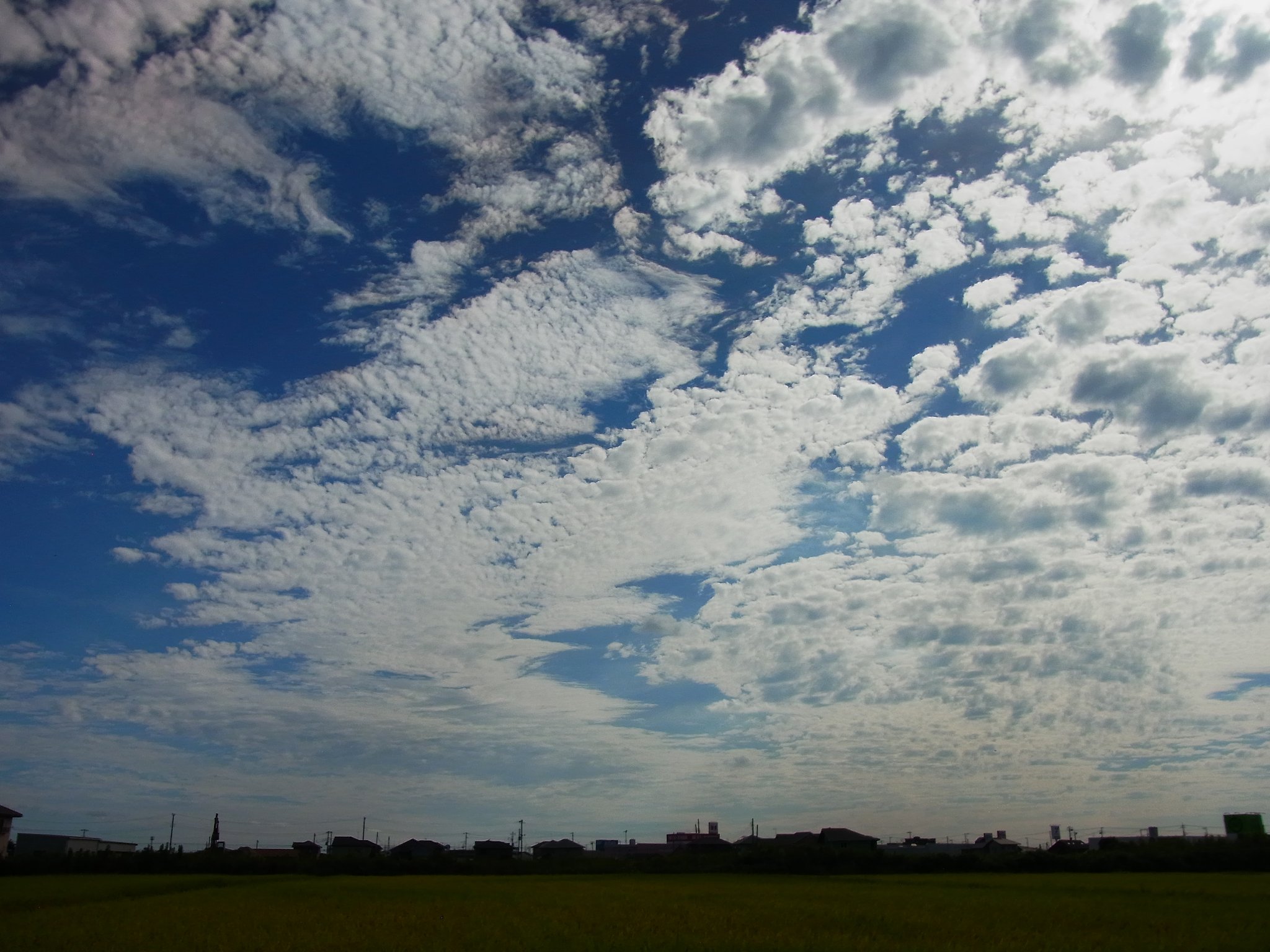 送り火の日の空