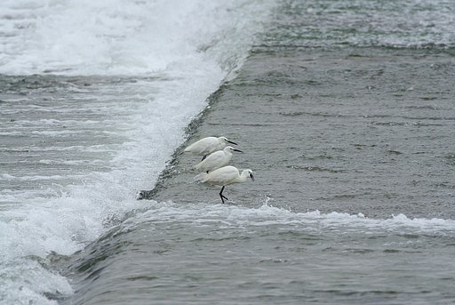 涼〜流れ