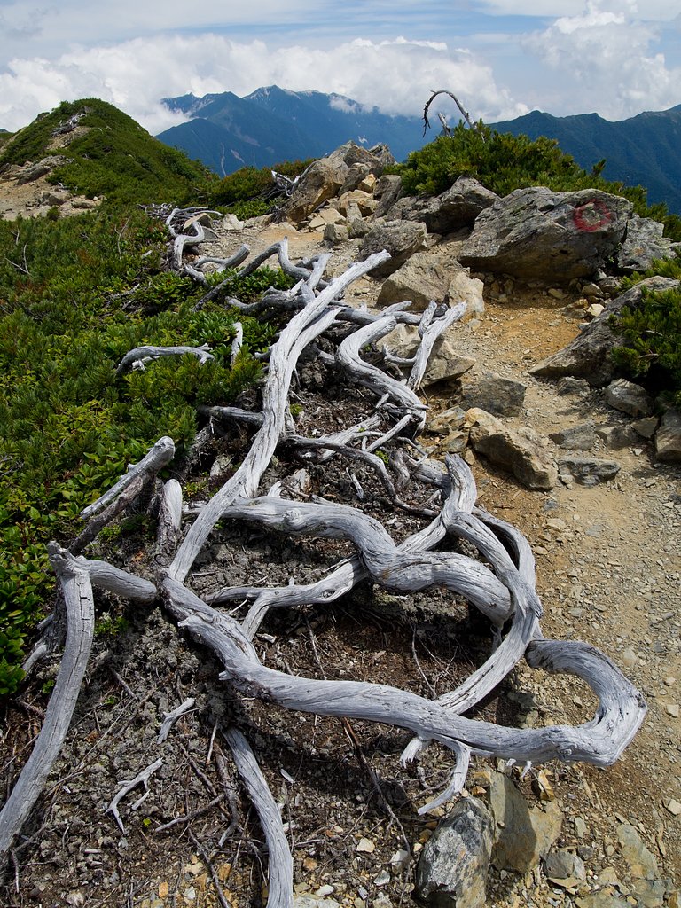 そろそろ下山