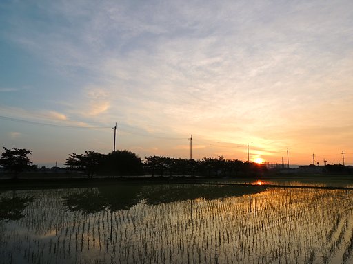 夜勤明けの朝