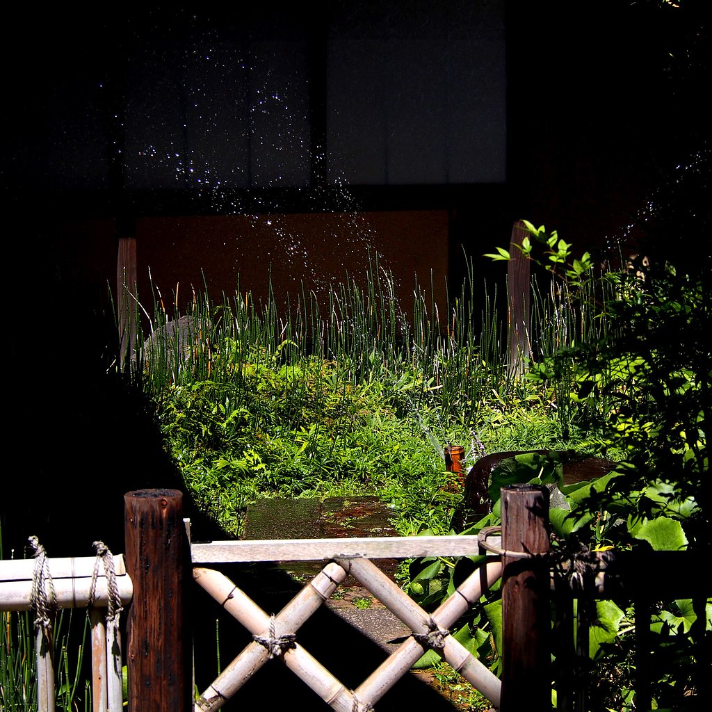 [夏の日]茶室の散水