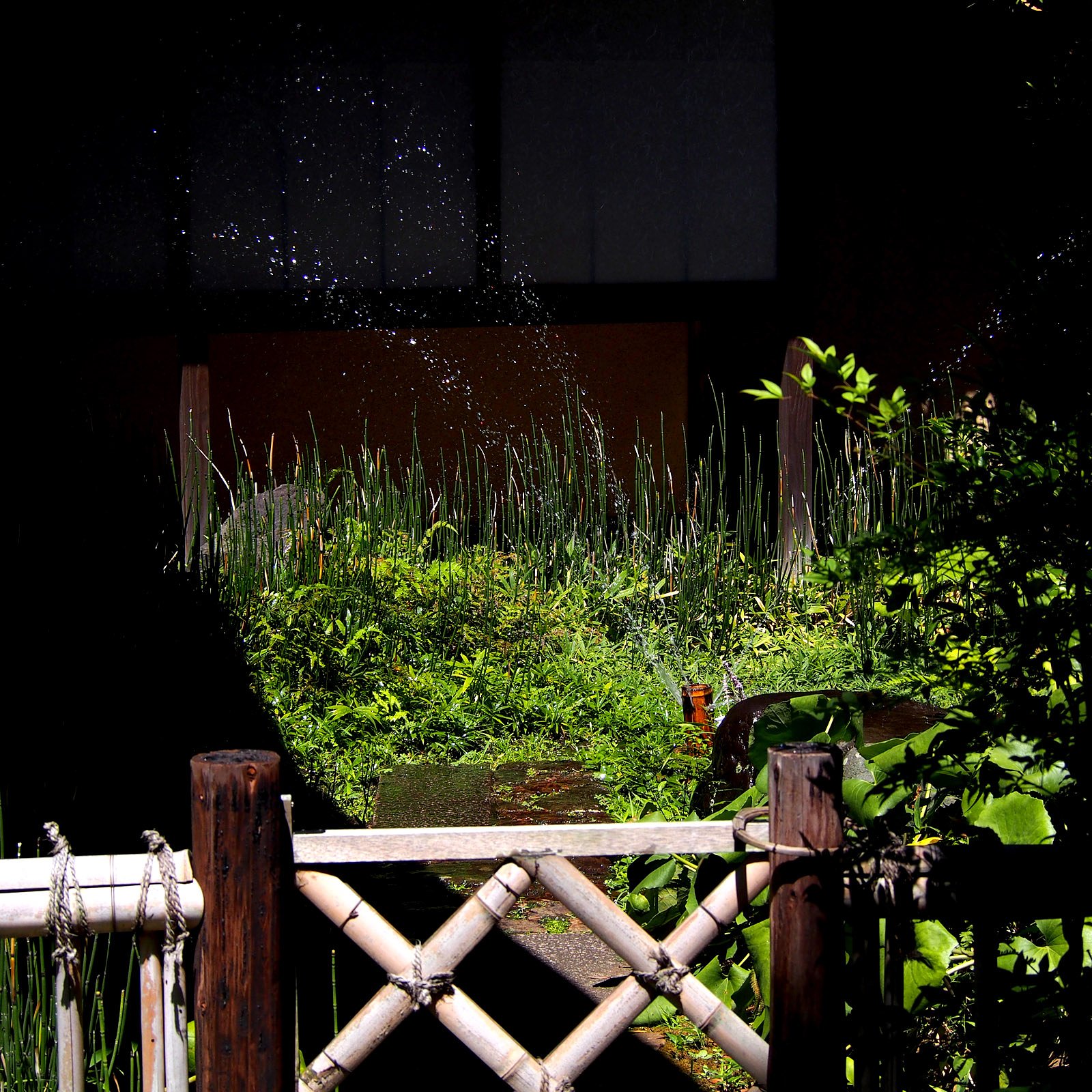 [夏の日]茶室の散水
