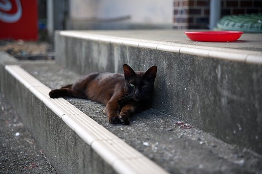 漁港にて