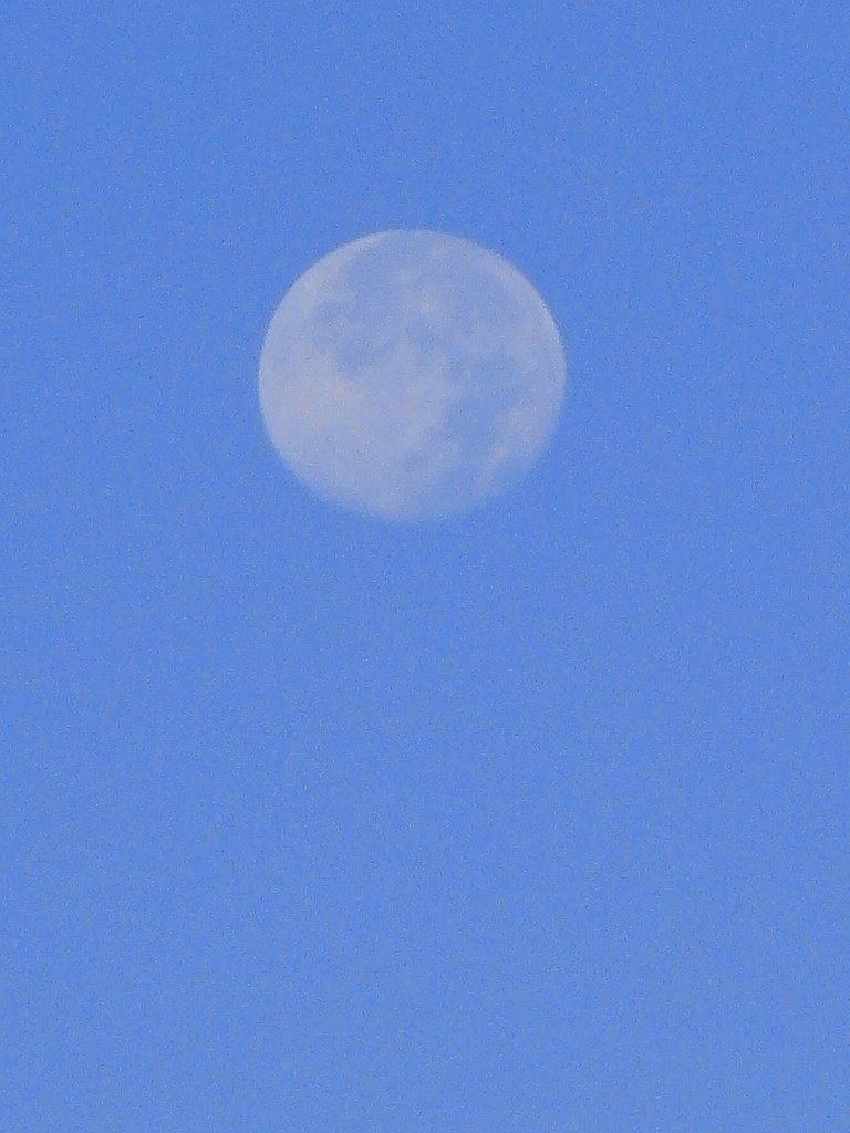 浅月