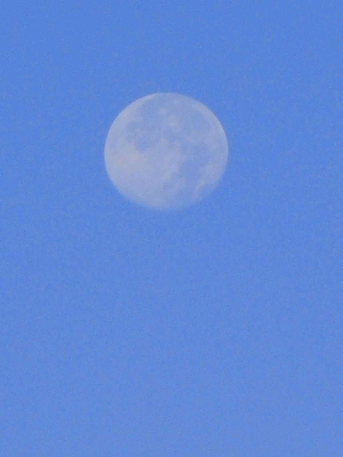 浅月