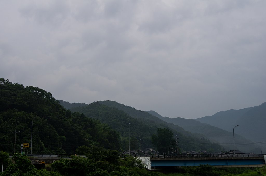 今朝は梅雨の大雨です。