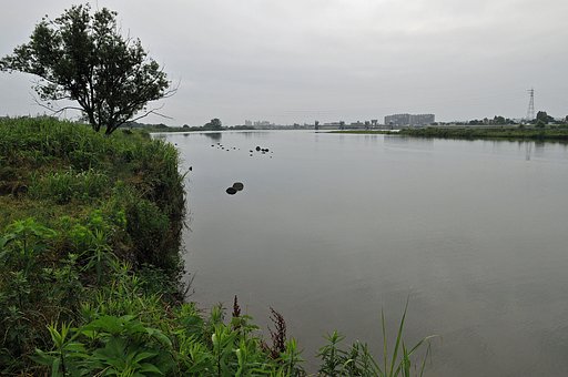 梅雨の朝