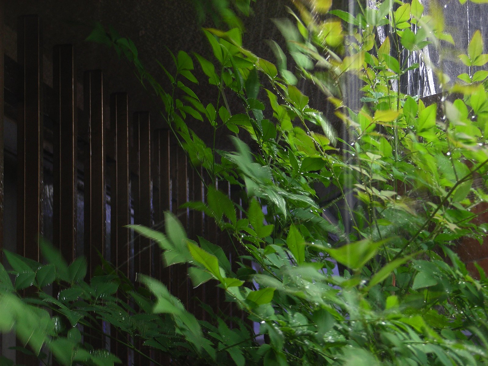 突然の豪雨
