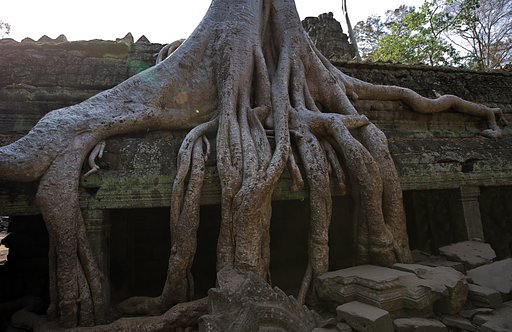 アンコール遺跡群⑤