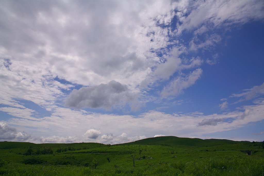 風吹く大地にて