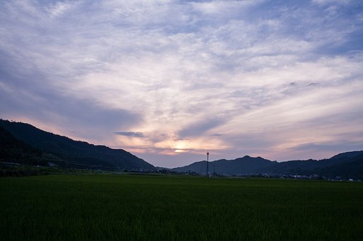 一寸だけ夕焼け。
