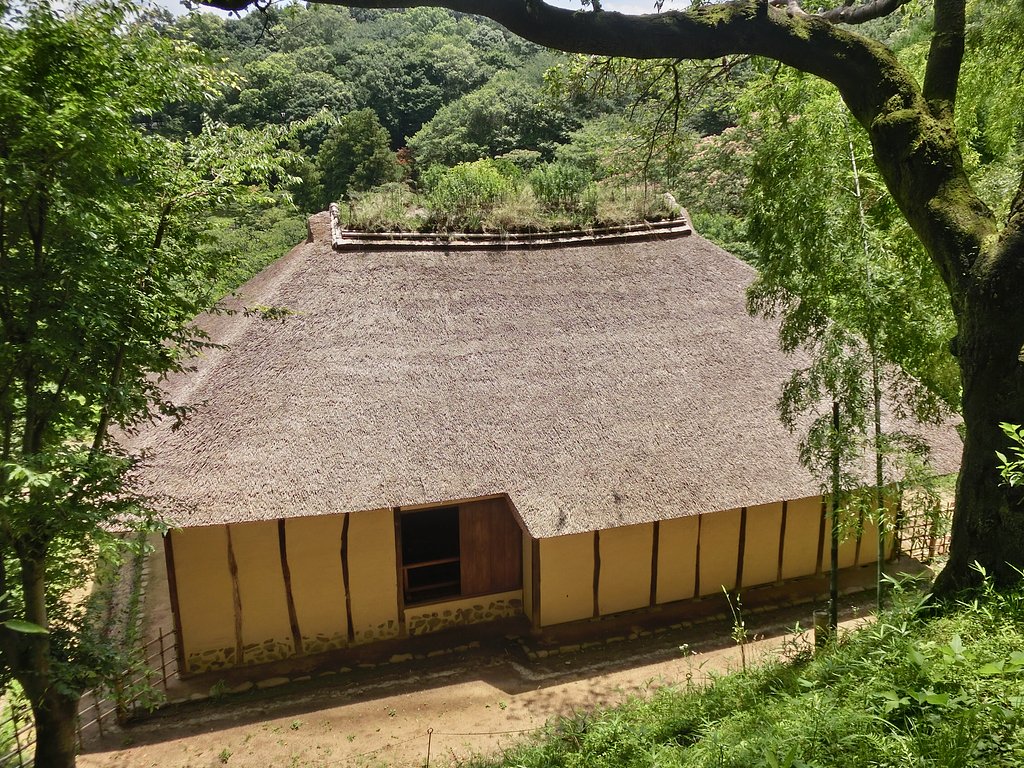 民家の屋上庭園？