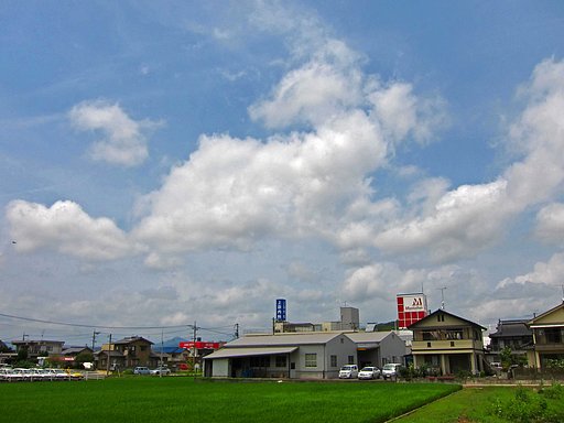 晴れました