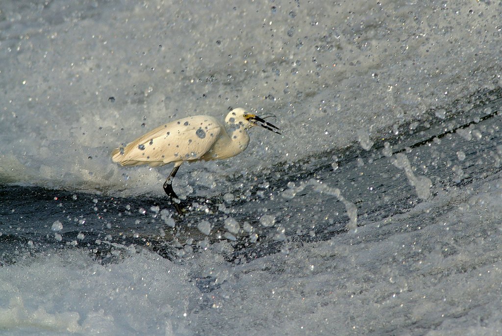 水飛沫