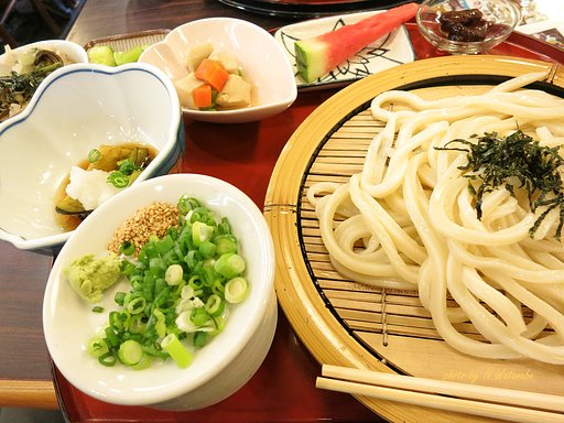 本場の讃岐うどん