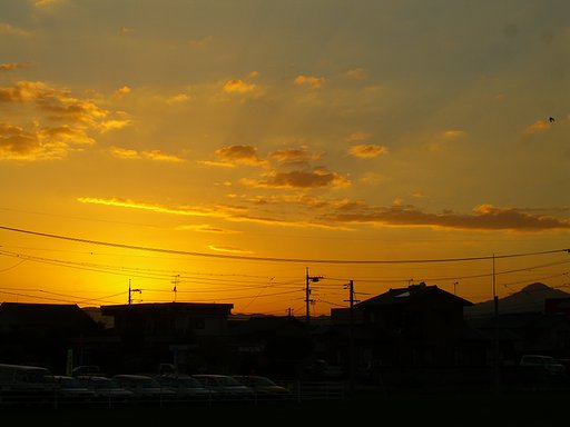 金色に輝く【夕日】