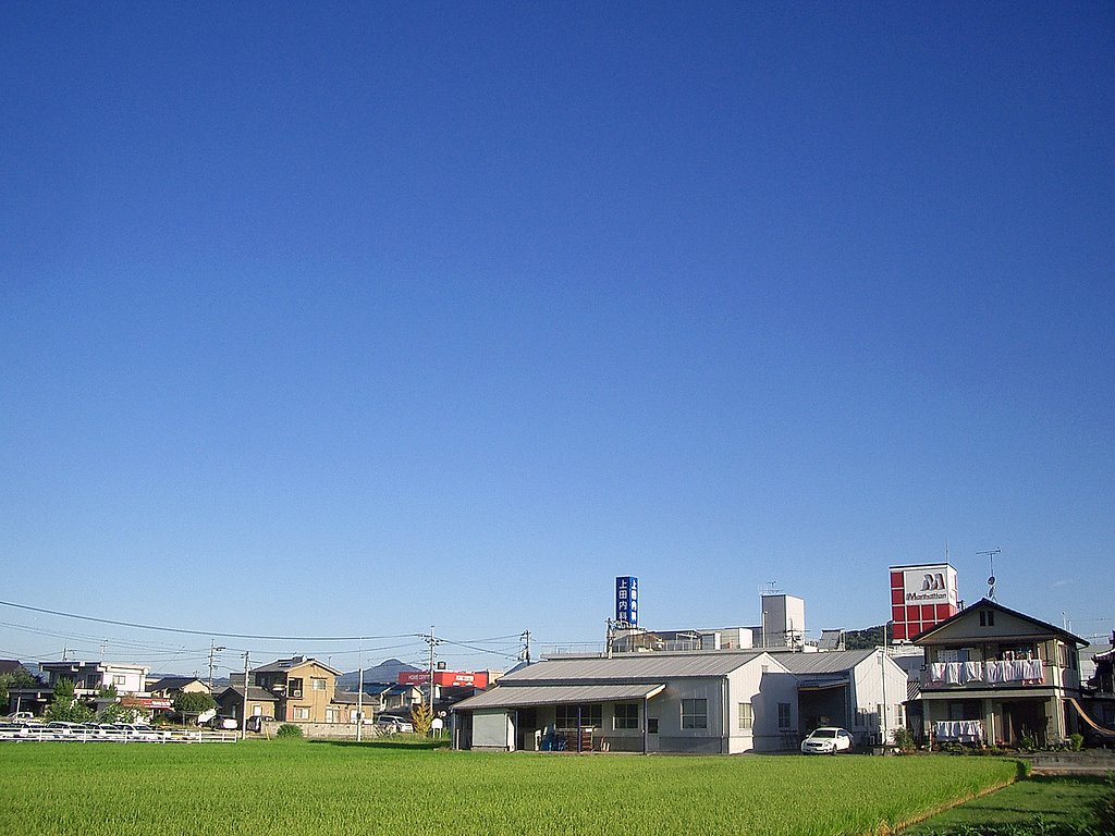 今日も真夏日
